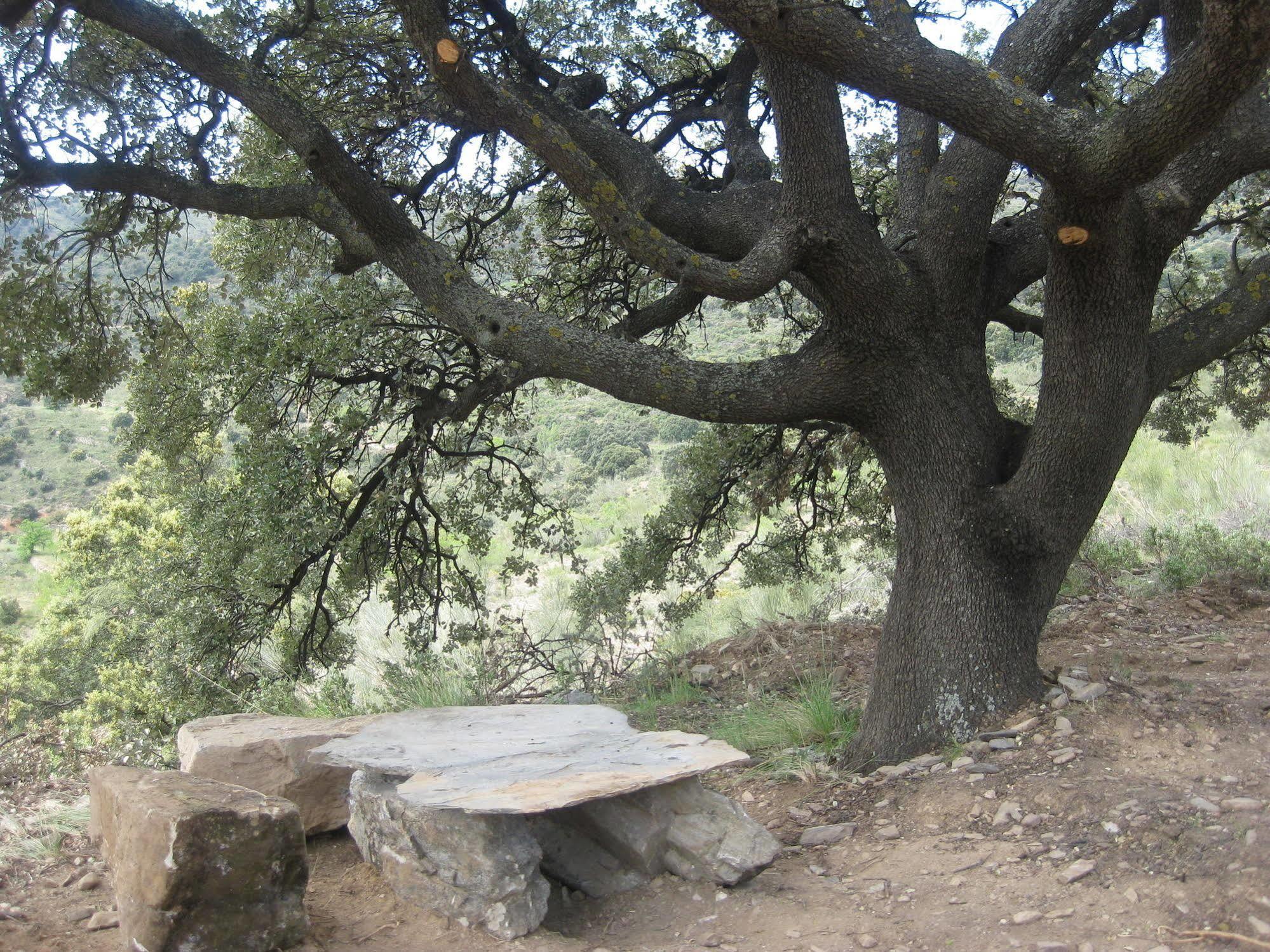Reul Alto Cortijos Rurales Guest House Laroya Eksteriør bilde